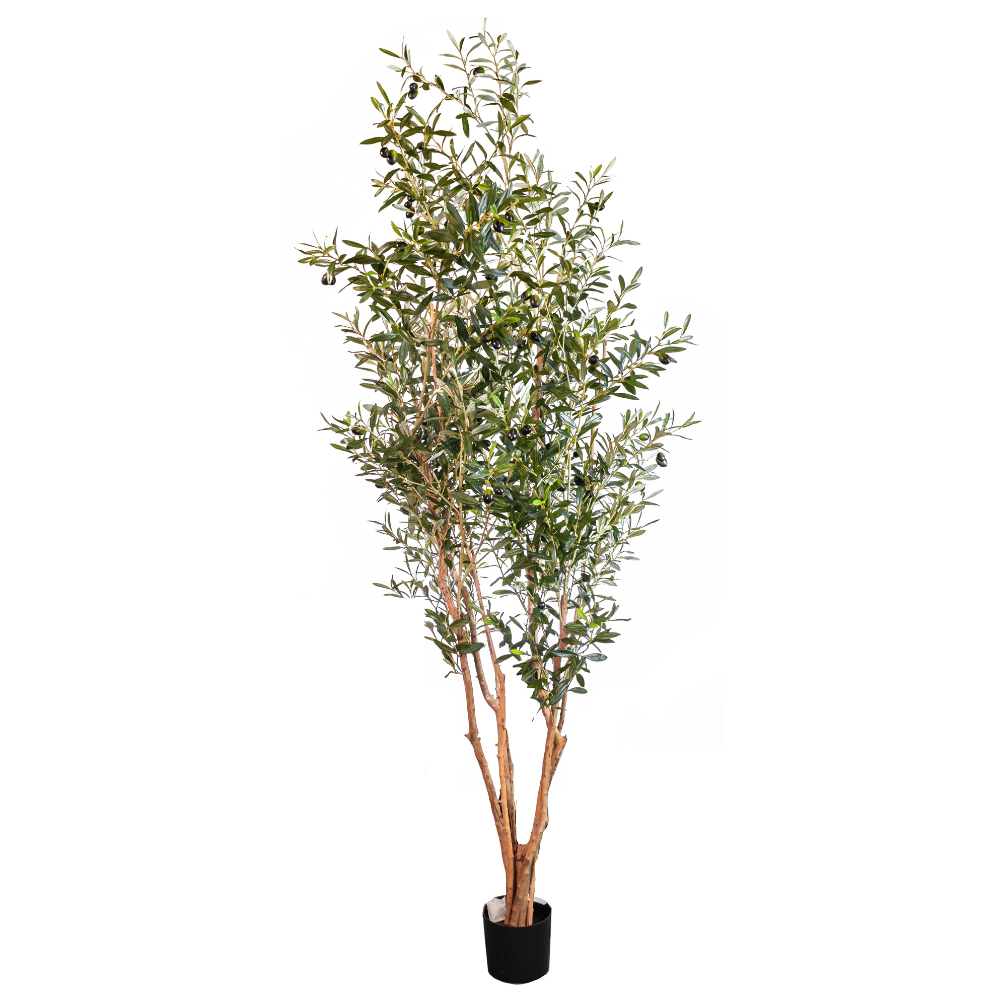 Artificial Olive tree with real trunk 3094LVS 72 FRUITS